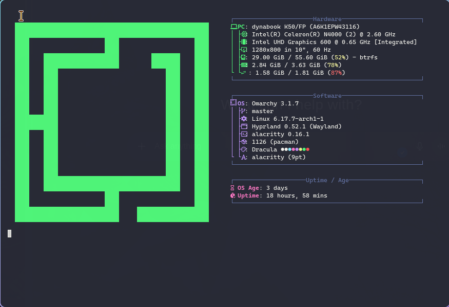 Fastfetch output showing Dynabook D45 hardware, Omarchy, Hyperland and resource usage