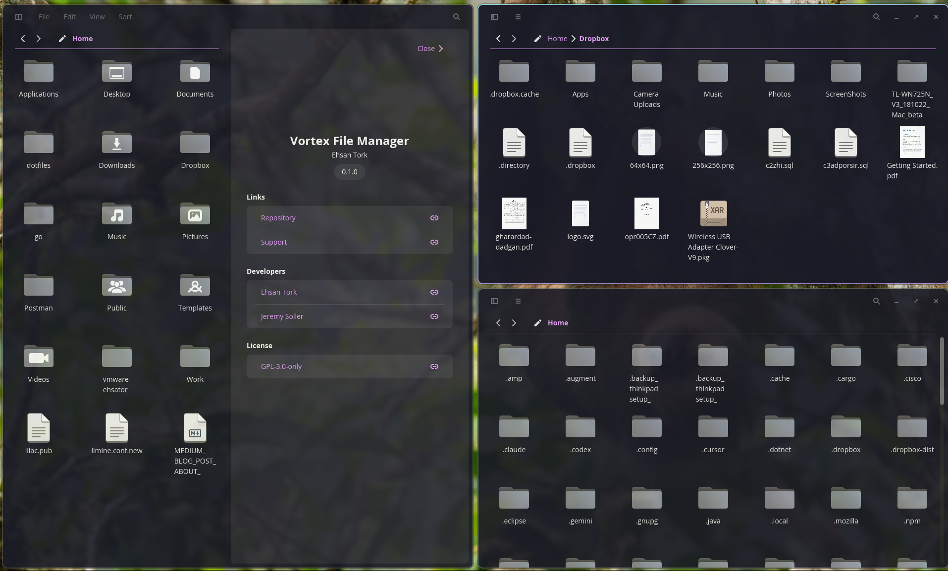 Vortex File Manager Interface